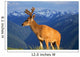 Deer With Antlers, Mountain Range In Background, Olympic National Park Wall Mural