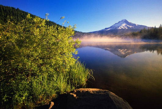Sunrise Fog On Trillium Lake, Reflection Of Mount Hood Wall Mural
