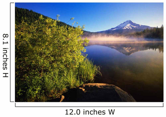 Sunrise Fog On Trillium Lake, Reflection Of Mount Hood Wall Mural