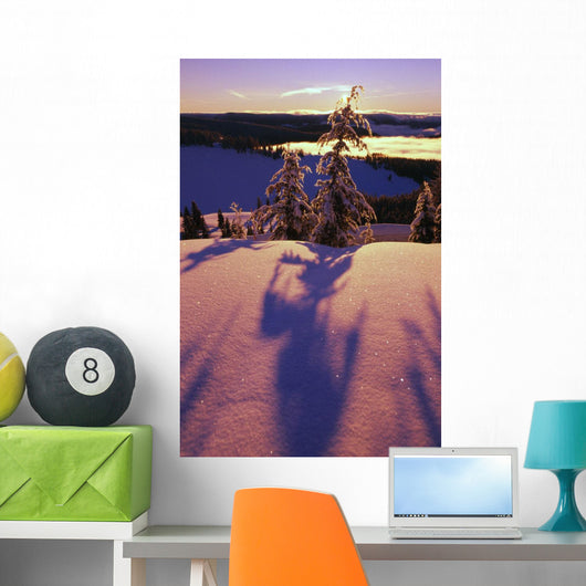 Pink And Purple Sunrise Shadows Of Snow Covered Trees, Cascades Wall Mural