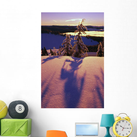 Pink And Purple Sunrise Shadows Of Snow Covered Trees, Cascades Wall Mural
