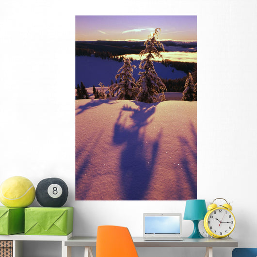 Pink And Purple Sunrise Shadows Of Snow Covered Trees, Cascades Wall Mural