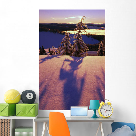 Pink And Purple Sunrise Shadows Of Snow Covered Trees, Cascades Wall Mural