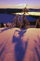 Pink And Purple Sunrise Shadows Of Snow Covered Trees, Cascades Wall Mural