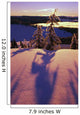 Pink And Purple Sunrise Shadows Of Snow Covered Trees, Cascades Wall Mural