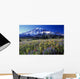 Field Of Blooming Wildflowers Wall Mural