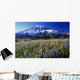 Field Of Blooming Wildflowers Wall Mural