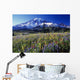 Field Of Blooming Wildflowers Wall Mural