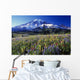 Field Of Blooming Wildflowers Wall Mural