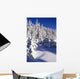 Snow-Covered Pine Trees On Mount Hood Wall Mural