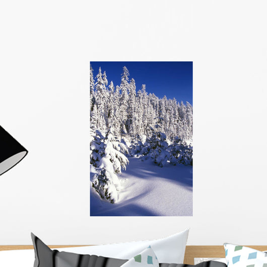 Snow-Covered Pine Trees On Mount Hood Wall Mural
