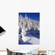 Snow-Covered Pine Trees On Mount Hood Wall Mural