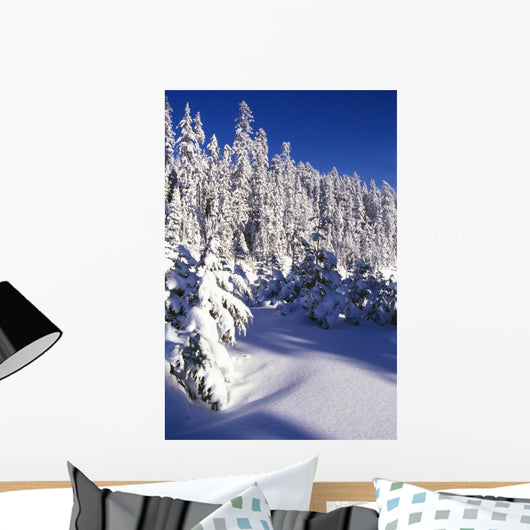 Snow-Covered Pine Trees On Mount Hood Wall Mural