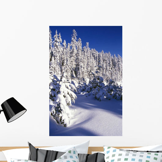 Snow-Covered Pine Trees On Mount Hood Wall Mural
