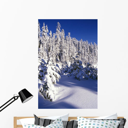 Snow-Covered Pine Trees On Mount Hood Wall Mural