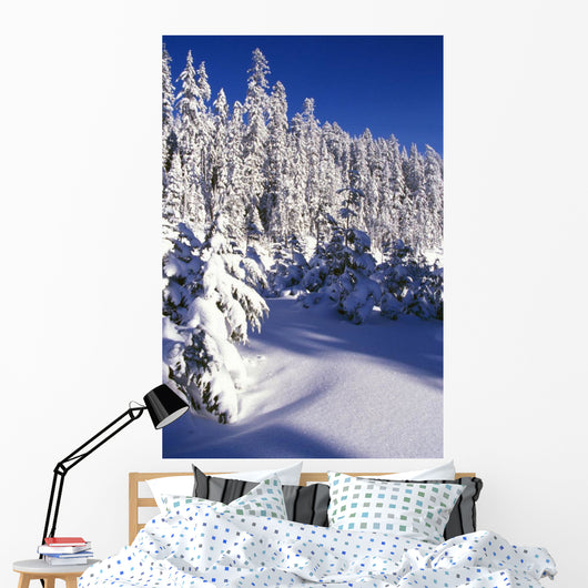 Snow-Covered Pine Trees On Mount Hood Wall Mural