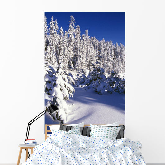 Snow-Covered Pine Trees On Mount Hood Wall Mural