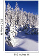 Snow-Covered Pine Trees On Mount Hood Wall Mural