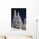 Snow-Covered Pine Trees On Mount Hood Wall Mural