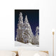 Snow-Covered Pine Trees On Mount Hood Wall Mural