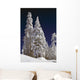Snow-Covered Pine Trees On Mount Hood Wall Mural
