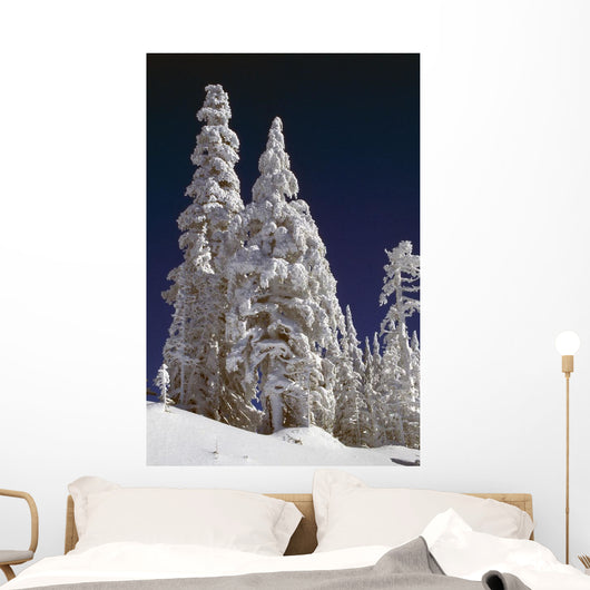 Snow-Covered Pine Trees On Mount Hood Wall Mural