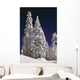 Snow-Covered Pine Trees On Mount Hood Wall Mural