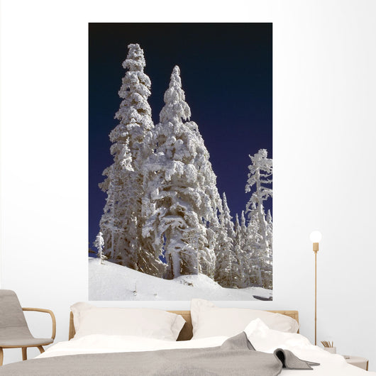 Snow-Covered Pine Trees On Mount Hood Wall Mural