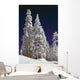 Snow-Covered Pine Trees On Mount Hood Wall Mural
