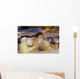 Blurred View Of Horses Running Through Dusty Early Morning Light Wall Mural