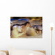 Blurred View Of Horses Running Through Dusty Early Morning Light Wall Mural