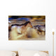 Blurred View Of Horses Running Through Dusty Early Morning Light Wall Mural