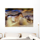 Blurred View Of Horses Running Through Dusty Early Morning Light Wall Mural