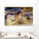 Blurred View Of Horses Running Through Dusty Early Morning Light Wall Mural