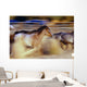 Blurred View Of Horses Running Through Dusty Early Morning Light Wall Mural