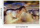 Blurred View Of Horses Running Through Dusty Early Morning Light Wall Mural