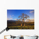 Leafless Oak Tree Wall Mural