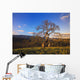 Leafless Oak Tree Wall Mural