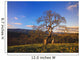 Leafless Oak Tree Wall Mural