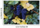 Close-Up Of Ripe, Wine Grapes And Leaves Wall Mural