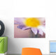 Soft-Focus Detail Of Daisy Flower With Dewdrops On Petals Wall Mural
