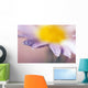 Soft-Focus Detail Of Daisy Flower With Dewdrops On Petals Wall Mural