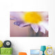 Soft-Focus Detail Of Daisy Flower With Dewdrops On Petals Wall Mural