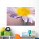 Soft-Focus Detail Of Daisy Flower With Dewdrops On Petals Wall Mural