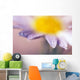 Soft-Focus Detail Of Daisy Flower With Dewdrops On Petals Wall Mural