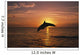 Silhouette Of Leaping Bottlenose Dolphin, Sunset, Caribbean Sea Wall Mural