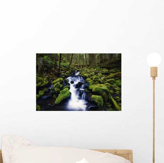 Moss-Covered Rocks In Creek With Small Waterfall Wall Mural