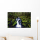 Moss-Covered Rocks In Creek With Small Waterfall Wall Mural