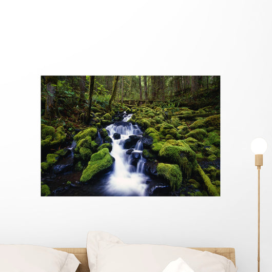 Moss-Covered Rocks In Creek With Small Waterfall Wall Mural