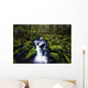 Moss-Covered Rocks In Creek With Small Waterfall Wall Mural